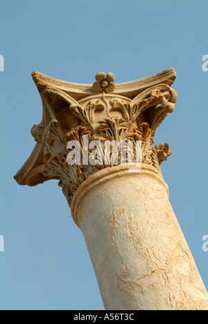 Colonna nel tempio di Serpis, Leptis Magna rovine romane, Libia Foto Stock