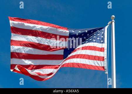 Stelle e Strisce della bandiera americana, Orlando, Florida, Stati Uniti d'America Foto Stock
