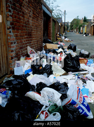 I rifiuti domestici in un back lane durante un rifiutare i collezionisti sciopero, in un sobborgo di Newcastle upon Tyne, Inghilterra, Regno Unito. Foto Stock