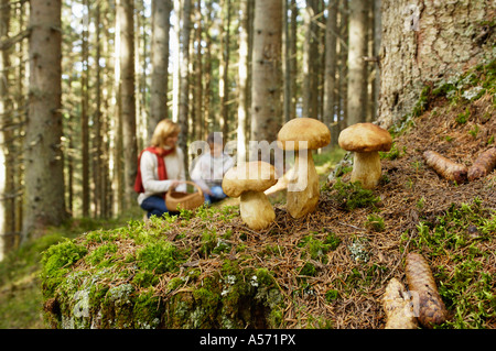 Madre e figlia alla ricerca di funghi in foresta Foto Stock