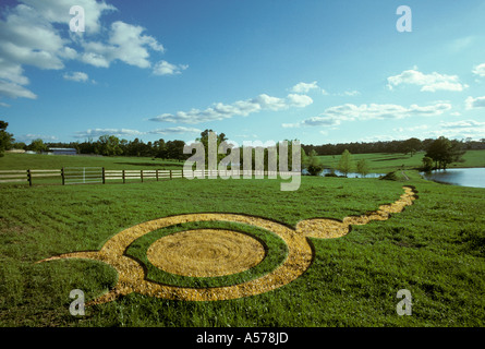 'Scorpion' crop circle Foto Stock