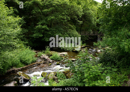 Regno Unito Devon Exmoor Malmsmead Oriente Lyn fiume passando attraverso la valle verdeggiante Foto Stock