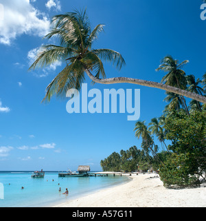 Pigeon Point, Tobago,Trinidad e Tobago, dei Caraibi - adottata nel 1998, prima che la spiaggia è stato rovinato da un eccessivo sviluppo Foto Stock