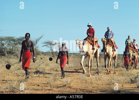 Camel safari nel nord del Kenya Africa orientale Foto Stock