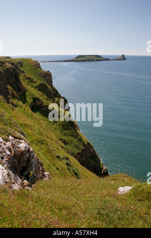 La vite senza fine di testa, vicino RHOSSILI, Penisola di Gower, South wales, Regno Unito Foto Stock