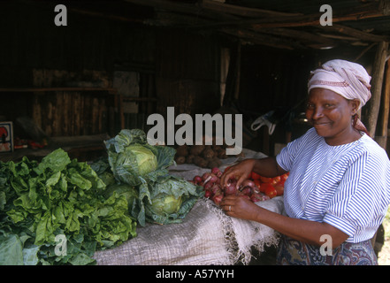 Painet ha2111 4238 donna kenya piccolo commerciante mathare valley baraccopoli di Nairobi paese nazione in via di sviluppo meno economicamente Foto Stock