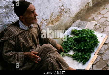 Uomo anziano vendita di menta in strada in Fes el Bali, la più antica zona fortificata di Fez, Marocco. Foto Stock
