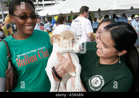 Miami Florida,Bayfront Park,Purina Walk for the Animals,fundraiser,corporate,sponsor animal,studenti studenti alunni giovani,volontari comunion Foto Stock