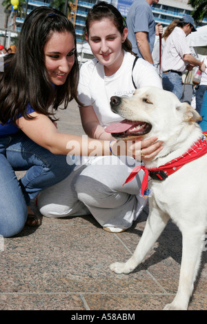 Miami Florida,Bayfront Park,Purina Walk for the Animals,fundraiser,corporate,sponsor animal,teen teenage teenager teenager giovani adolescenti adolescenti, Gr Foto Stock