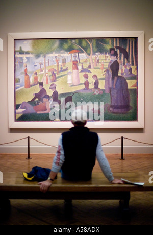 L'uomo osservando la pittura di una Domenica sul Grande Jatte di Georges Seurat all'Art Institute di Chicago in Illinois Foto Stock