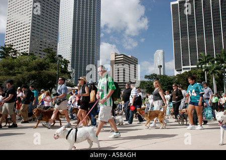 Miami Florida,Bayfront Park,Purina Walk per gli animali,fundraiser,corporate,sponsor animale,proprietari di cani,skyline del centro,FL070224054 Foto Stock