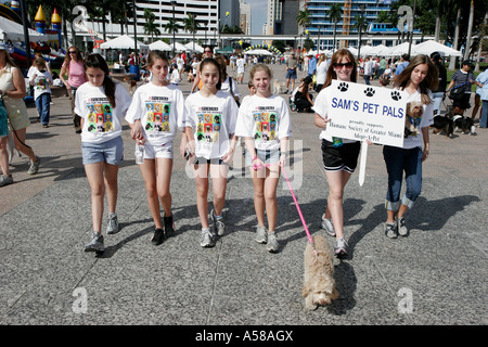 Miami Florida,Bayfront Park,Purina Walk for the Animals,fundraiser,corporate,sponsor animal,teen teens teenager ragazze,humane Society volontariamente Foto Stock