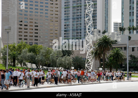 Miami Florida,Biscayne Boulevard,Bayfront Park,Purina Walk per gli animali,fundraiser,corporate,sponsor animale,proprietari di cani,FL070224066 Foto Stock