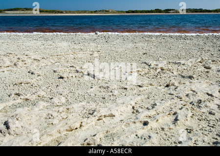 Siccità, sale incrostata asciugata lakebed, Herschel lago, l'Isola di Rottnest, Western Australia, Feb 2007 Foto Stock