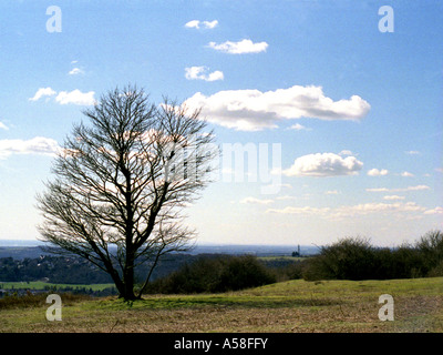 Una vista da Cissbury Ring sul South Downs, West Sussex, in primavera. Foto Stock
