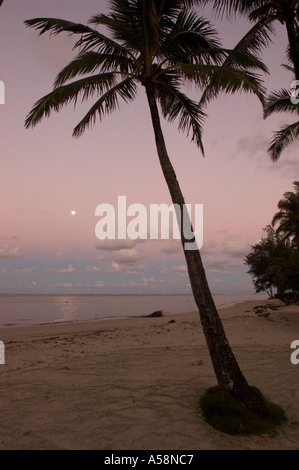 Ore del sorgere su palms Hawaii Foto Stock