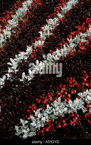 Close up dettaglio della parte di aiuola giardino in Francia Foto Stock