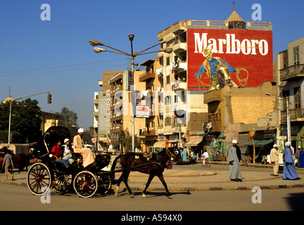 Cavallo carrello Malboro Asyut Asyut Egitto mercato egiziano di città nel deserto del Nilo Foto Stock