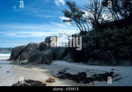 Paesaggio di Wilsons Promontory un parco nazionale in Australia Foto Stock