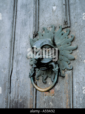 Testa di leone Santuario respingente sulla cattedrale porta occidentale, Durham Cathedral Durham City, nella contea di Durham, Inghilterra, Regno Unito. Foto Stock