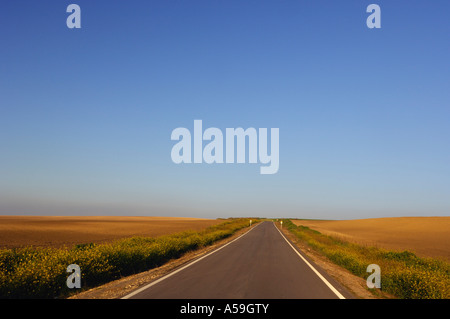 Panoramica della strada attraverso campi, Andalusia, Spagna Foto Stock