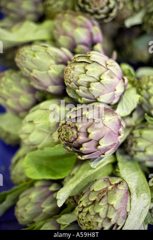 Carciofi Foto Stock