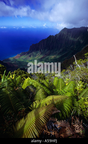 Costa di Na Pali, Kauai, Hawaii, STATI UNITI D'AMERICA Foto Stock