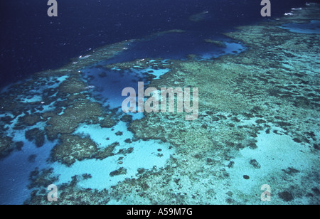 La Grande Barriera Corallina, Queensland, Australia Foto Stock