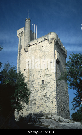 Il XIV secolo Tour de Philippe le Bel a Villeneuve lès Avignon Foto Stock