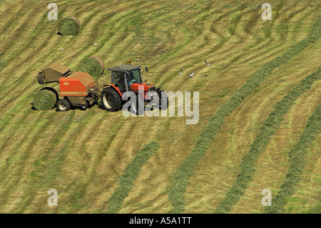 Fare grandi balle rotonde di silaggio in Prato Foto Stock
