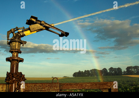 Acqua di irrigazione spruzzato sul raccolto di patate e rainbow formando in spray Foto Stock