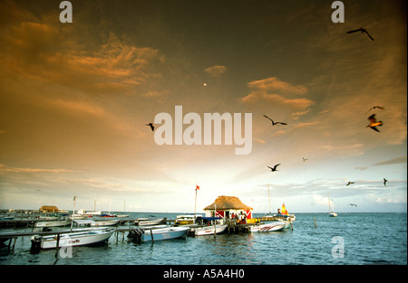 Belize Ambergris Cay Pier al tramonto San Pedro Foto Stock