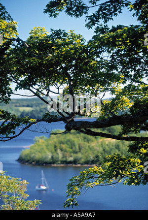 Fiume Saint John, Gagetown, New Brunswick, Canada Foto Stock