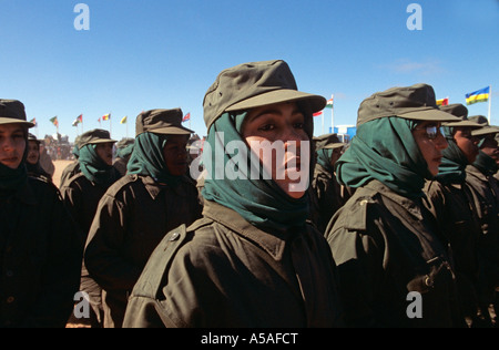 Femmina combattenti Polisario a Tindouf Algeria occidentale Foto Stock