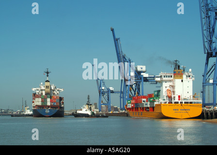 Arrivo nave container cargo assistita da rimorchiatori piccolo freighter giallo caricato con contenitori di spedizione accanto alle gru a Felixstowe porto Suffolk UK Foto Stock