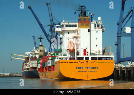 Commercio internazionale a Felixstowe occupato porto vicino poppa di due navi container sotto gru carico e scarico container Suffolk UK Foto Stock