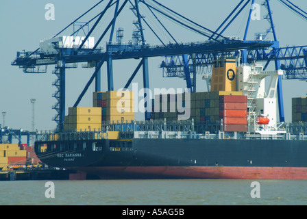 Gru in container Porto di Felixstowe sull'estuario del fiume Orwell con contenitori di spedizione carico e scarico nave da carico East Anglia Suffolk Inghilterra UK Foto Stock