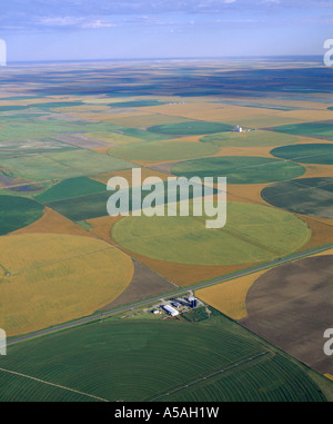 Vista aerea del centro di rotazione irrigazione dei campi di colore giallo e verde chiaro sono i campi di grano verde scuro sono mais Kansas Foto Stock