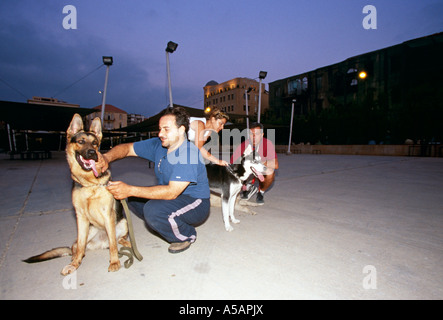 Un cane sessione di formazione a Beirut Foto Stock