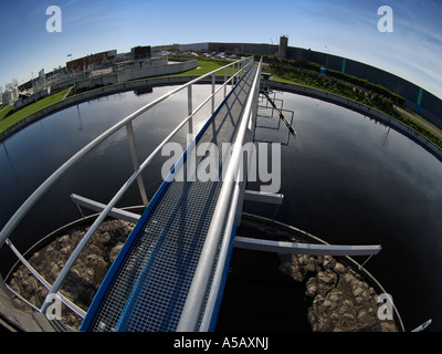 Bacinella piena di fresco e quasi acqua pulita con limo galleggiante nel centro durante l'ultimo stadio di purificazione dell'acqua Tiel Foto Stock