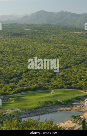 La scena del deserto campo da golf in costruzione vicino a San Jose del Cabo Baja California Sur Messico Foto Stock