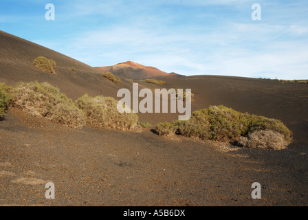 Laval cenere sul Timanfaya Lanzarote isole Canarie Foto Stock