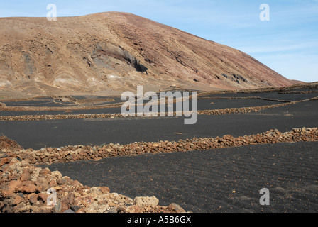 Nero suolo vulcanico protetti da erosione di vento da muri in pietra a secco su isola di Lanzarote Foto Stock