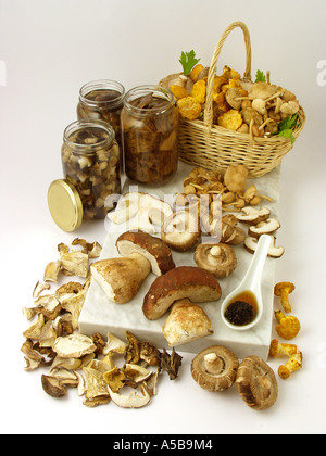 Un assortimento di funghi commestibili Foto Stock