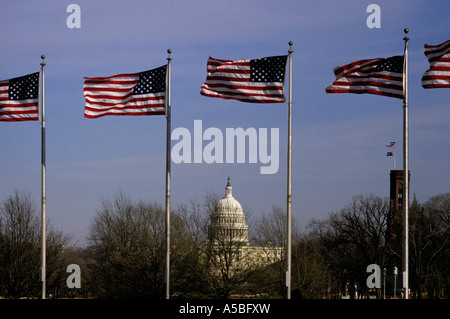 Stati Uniti Washington DC il Capitol Building e a stelle e strisce Foto Stock