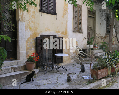 Trimestre Anafiotika sotto l'Acropoli la mattina presto ancora in vita con gli sbandamenti gatti Città Vecchia di Plaka Atene Grecia Foto Stock