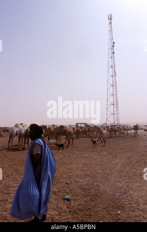 Una scena dal mercato di cammelli in Nouakchott Mauritania Foto Stock