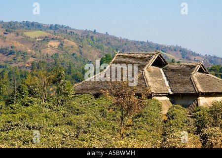 Hani minoranza etnica Akha casa in legno Gelanghe Xishuangbanna Cina Foto Stock