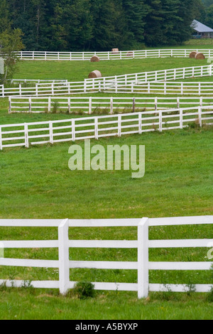 Recinzione bianco in esecuzione attraverso un campo di verde su un agriturismo nelle zone rurali del nord-est USA Foto Stock