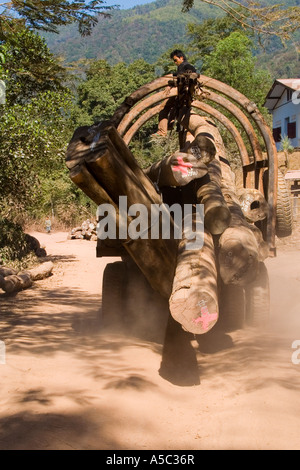 Carrello alaggio Logs Tha Suang Laos Foto Stock